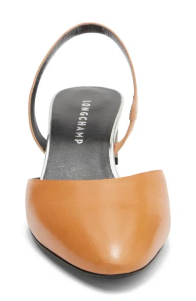Longchamp Pointed Toe Slingback Pump In Multi