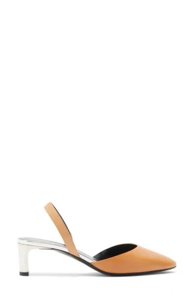 Longchamp Pointed Toe Slingback Pump In Multi