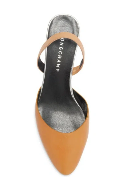 Longchamp Pointed Toe Slingback Pump In Multi