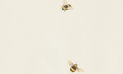Rag & Bone Bumblebee Graphic T-shirt In Multi