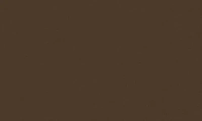Stance Solid Boxer Briefs In Nude
