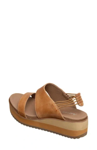 Antelope Cachet Platform Wedge Sandal In Multi
