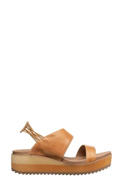 Antelope Cachet Platform Wedge Sandal In Multi