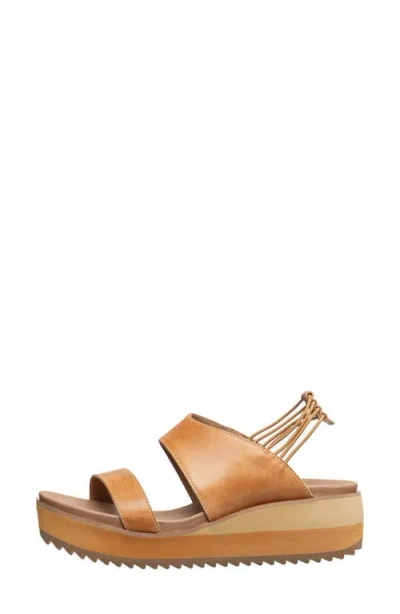 Antelope Cachet Platform Wedge Sandal In Multi