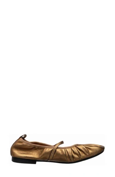 Antelope Mila Ballet Flat In Multi