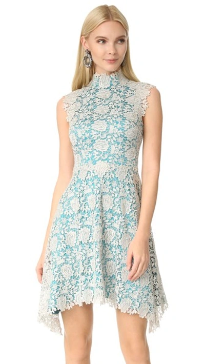 Catherine Deane Izzy Sleeveless Floral Lace Fit-and-flare Dress, Silver/blue In Metallic Silver/turquoise