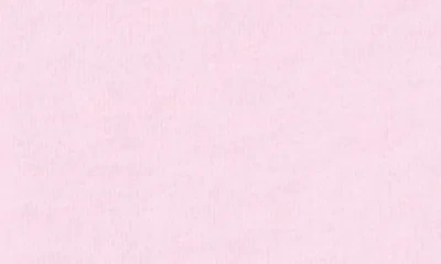 L*space Lspace Core Cover-up T-shirt In Pink
