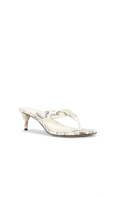 Sam Edelman Amie 샌들 In Multi