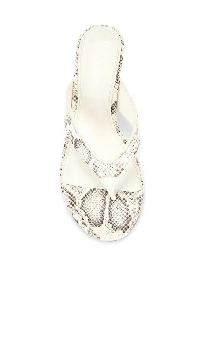 Sam Edelman Amie 샌들 In Multi