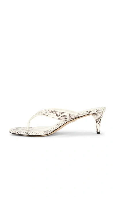 Sam Edelman Amie 샌들 In Multi