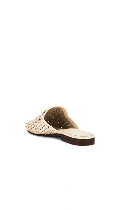 Sam Edelman Tullie 슬라이드 In Multi