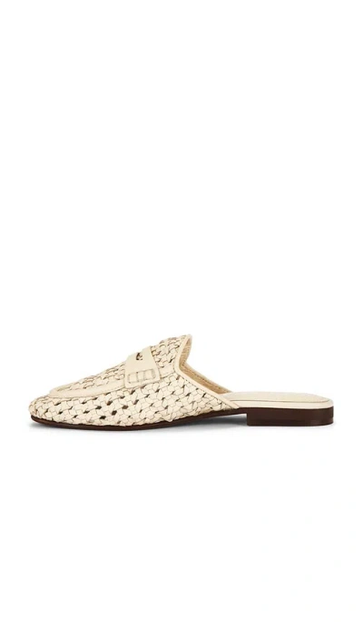 Sam Edelman Tullie 슬라이드 In Multi