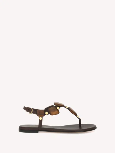 Gianvito Rossi Embellished Leather Sandals In Animal Print