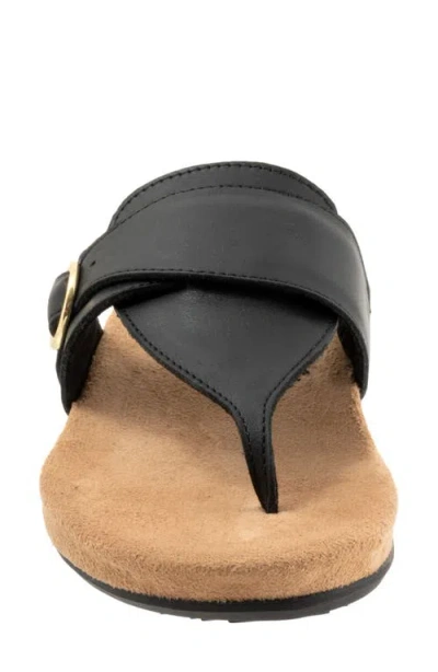 Softwalk Belize 2.0 Sandal In Black