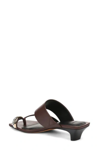 Vince Stacy Toe Loop Sandal In Brown