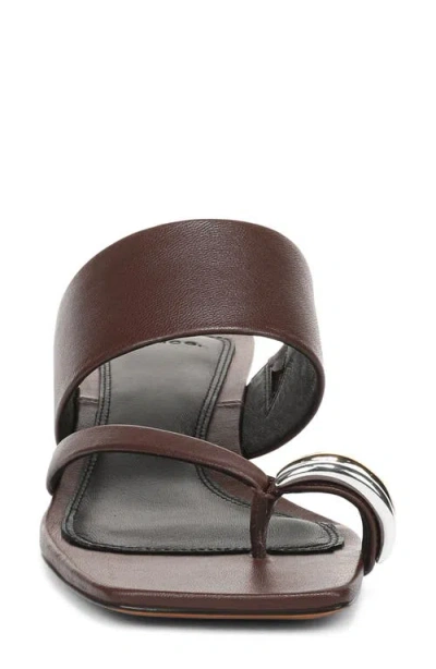 Vince Stacy Toe Loop Sandal In Brown