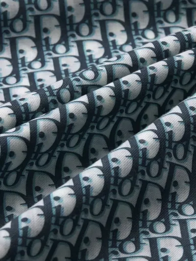 Dior Rectangular Scarf Long Cut Fringed Edges In Gray