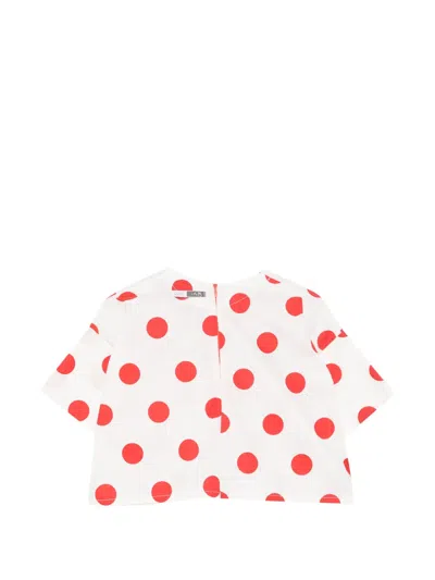 Cucù Lab Polka-dot T-shirt In Multi
