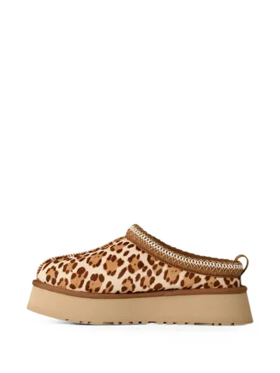 Ugg Tazz Plains Slippers Felicity Leopard Jasmine In Multi