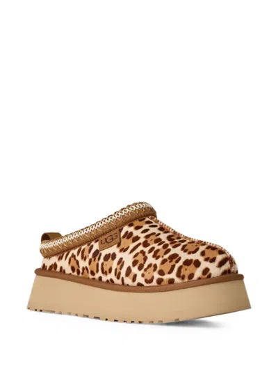 Ugg Tazz Plains Slippers Felicity Leopard Jasmine In Multi