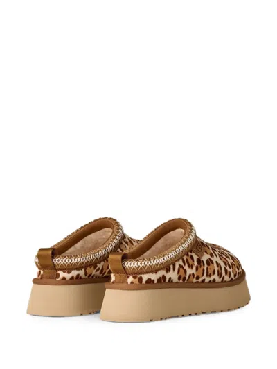 Ugg Tazz Plains Slippers Felicity Leopard Jasmine In Multi