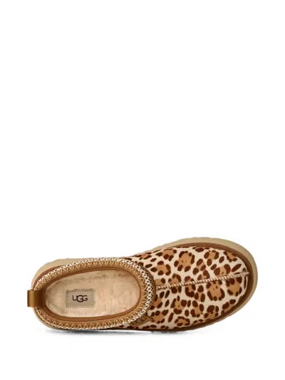 Ugg Tazz Plains Slippers Felicity Leopard Jasmine In Multi