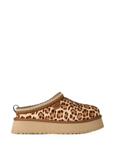 Ugg Tazz Plains Slippers Felicity Leopard Jasmine In Multi