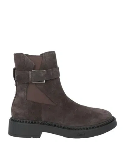 Ash Woman Ankle Boots Charcoal Size 8 Leather In Brown