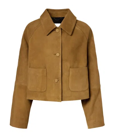 Dorothee Schumacher Buttoned Patch-pocket Jacket In Brown