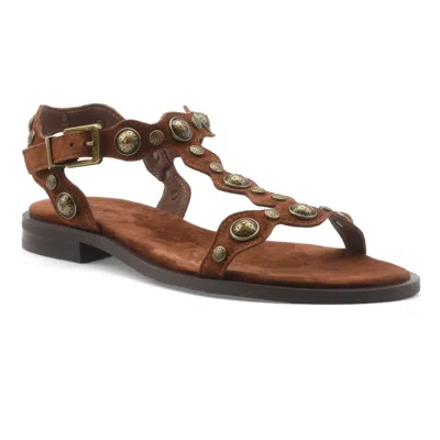 Ash Studded Flat Sandals In Brown