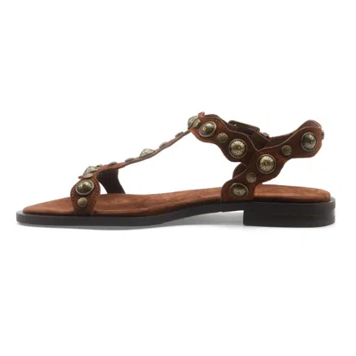 Ash Studded Flat Sandals In Brown
