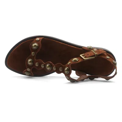 Ash Studded Flat Sandals In Brown