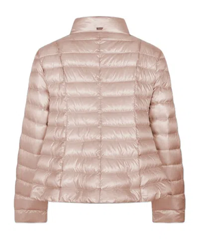 Herno Quilted Cotton Jacket In Multi