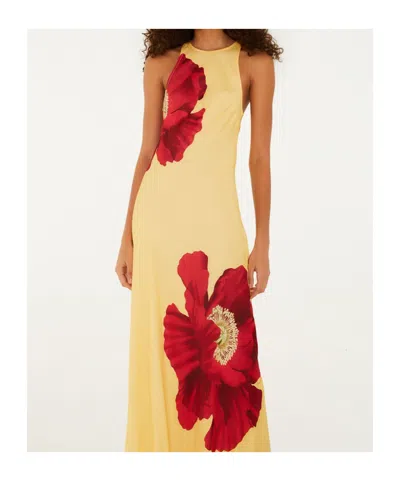 Farm Rio Poppy Flowers Maxi Dress Poppy Flowers Light Yellow In Neutral