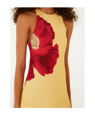 Farm Rio Poppy Flowers Maxi Dress Poppy Flowers Light Yellow In Neutral