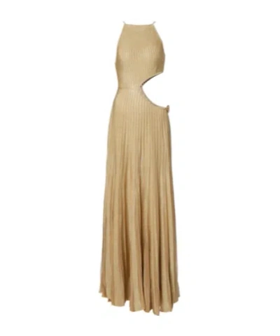 Roberto Cavalli Long Sheer Gold Dress With Cut-outs In Nude