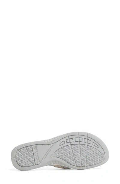 Sperry Sable Fish Flip Flop In Silver