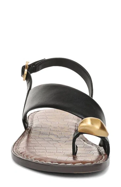 Sam Edelman Gace Toe Loop Slingback Sandal In Black