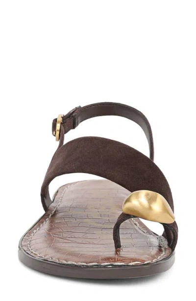 Sam Edelman Gace Toe Loop Slingback Sandal In Brown