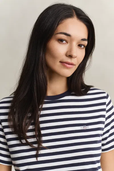 Gant Striped Shield T-shirt In Multi