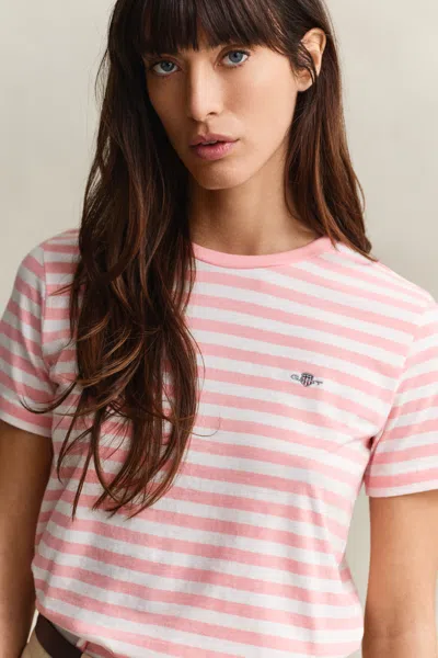 Gant Striped Shield T-shirt In Multi