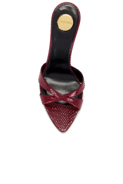 Saint Laurent Kirat Python Mule Sandal In Red