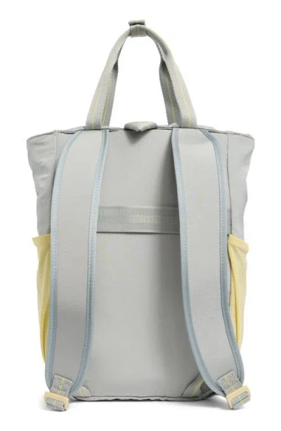 Hunter Explorer Backpack In Gray