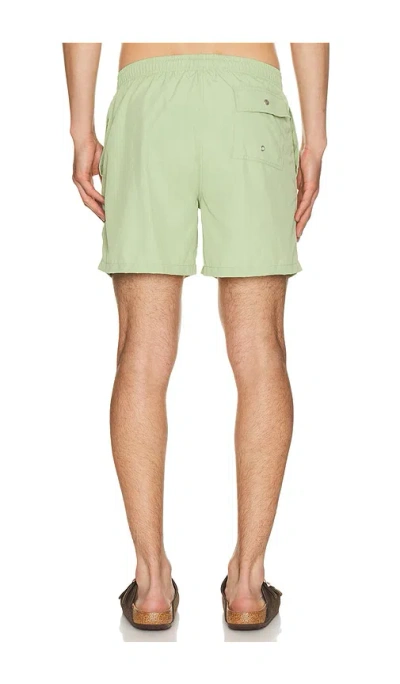 Bather Solid Moss Swim Trunks In Green