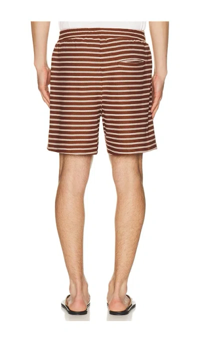 Bound Stripe Jacquard Shorts In Brown