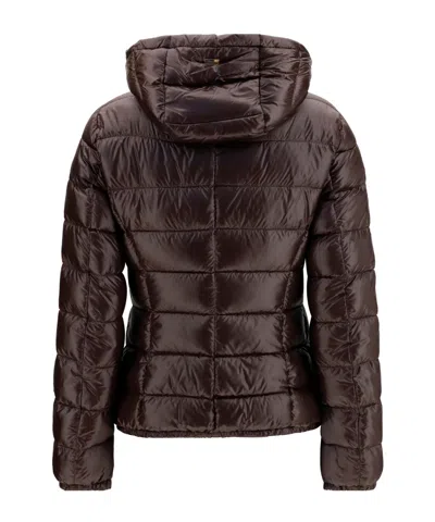 Herno Long-sleeve Jacket In Brown