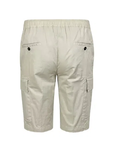 Devore Pleated Cargo Shorts In Neutral