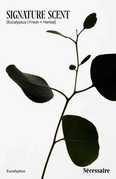 Nécessaire Eucalyptus Water In Green
