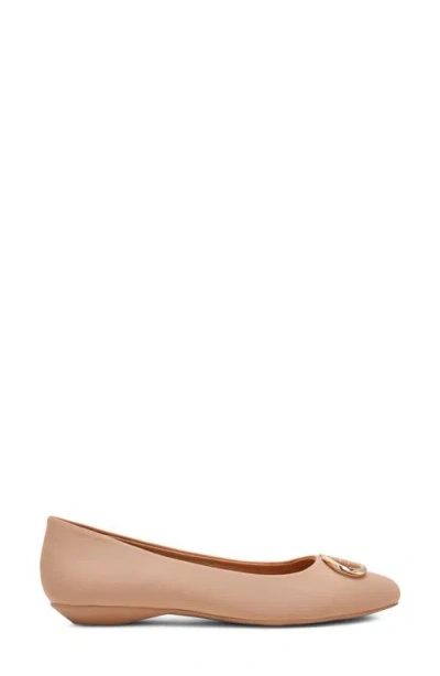 Anne Klein Oswego Pointed Toe Flat In Multi
