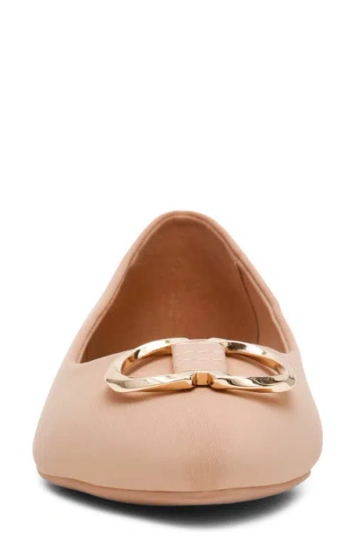 Anne Klein Oswego Pointed Toe Flat In Multi